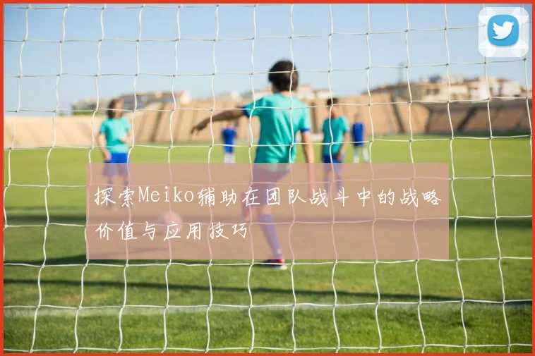 探索Meiko辅助在团队战斗中的战略价值与应用技巧