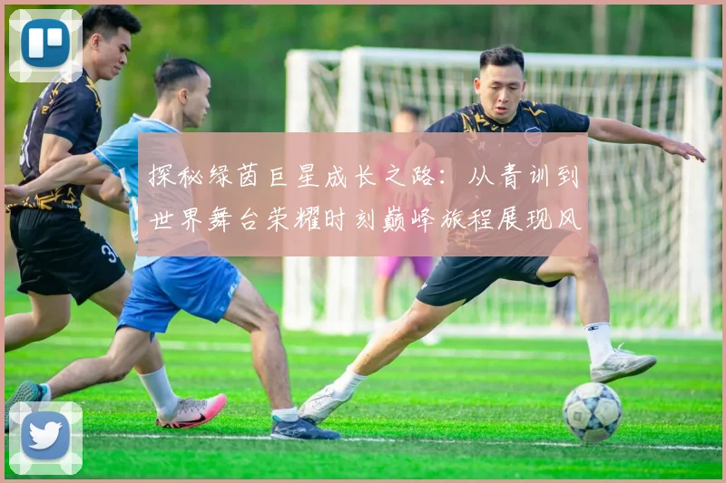 探秘绿茵巨星成长之路：从青训到世界舞台荣耀时刻巅峰旅程展现风