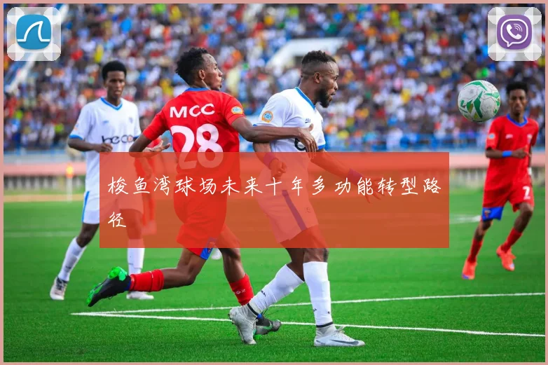 梭鱼湾球场未来十年多功能转型路径
