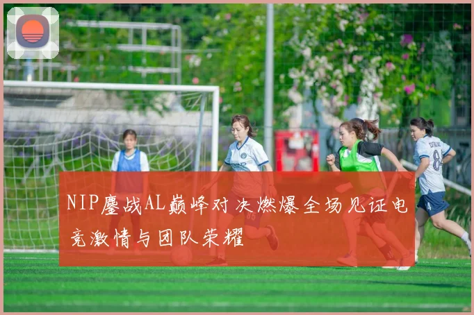 NIP鏖战AL巅峰对决燃爆全场见证电竞激情与团队荣耀