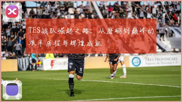 TES战队崛起之路：从磨砺到巅峰的艰辛历程与辉煌成就