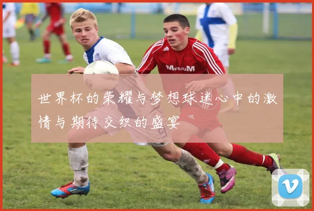 世界杯的荣耀与梦想球迷心中的激情与期待交织的盛宴