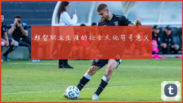 郑智职业生涯的社会文化符号意义