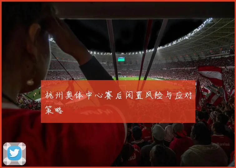 杭州奥体中心赛后闲置风险与应对策略