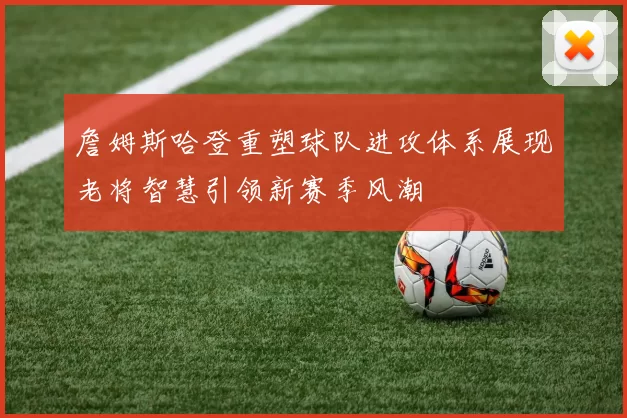 詹姆斯哈登重塑球队进攻体系展现老将智慧引领新赛季风潮